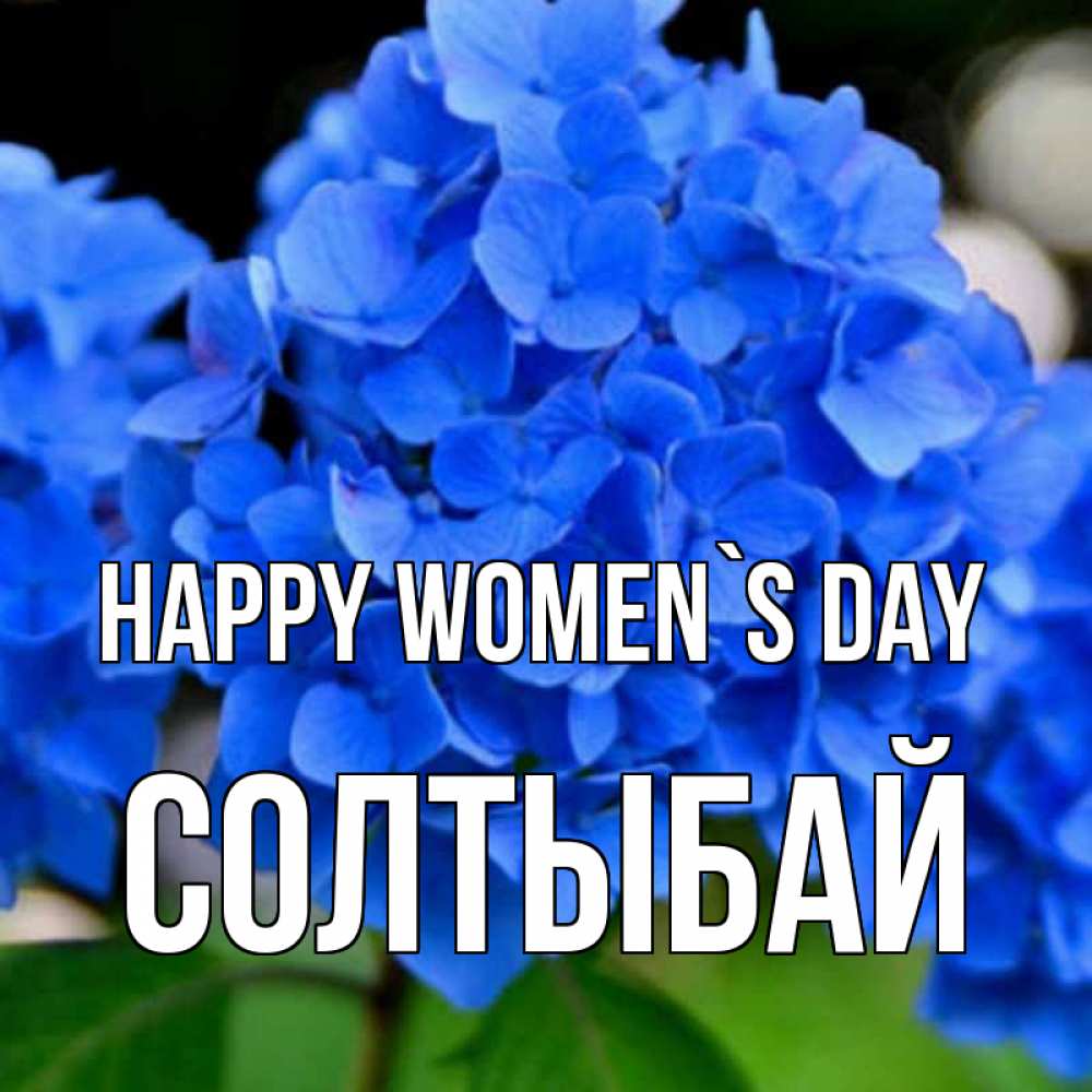 Greetings card с именем, СОЛТЫБАЙ happy women`s day синие цветы Greetings with text for free download 